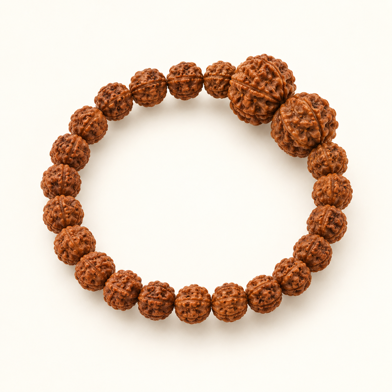 5 Mukhi High Grade Bracelet